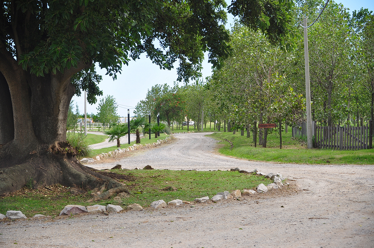 LOTES EN BARRIO LEUFU QUIÑE (BARRIO COMPLEJO TERMAL)