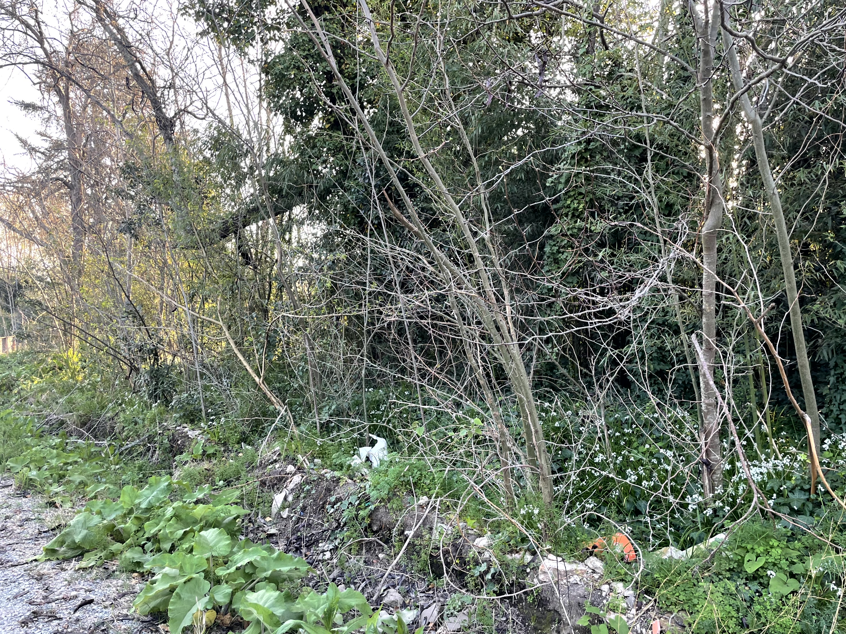 Lote en Zona Tranquila: Ideal para Casa de Fin de Semana o Proyecto de Descanso