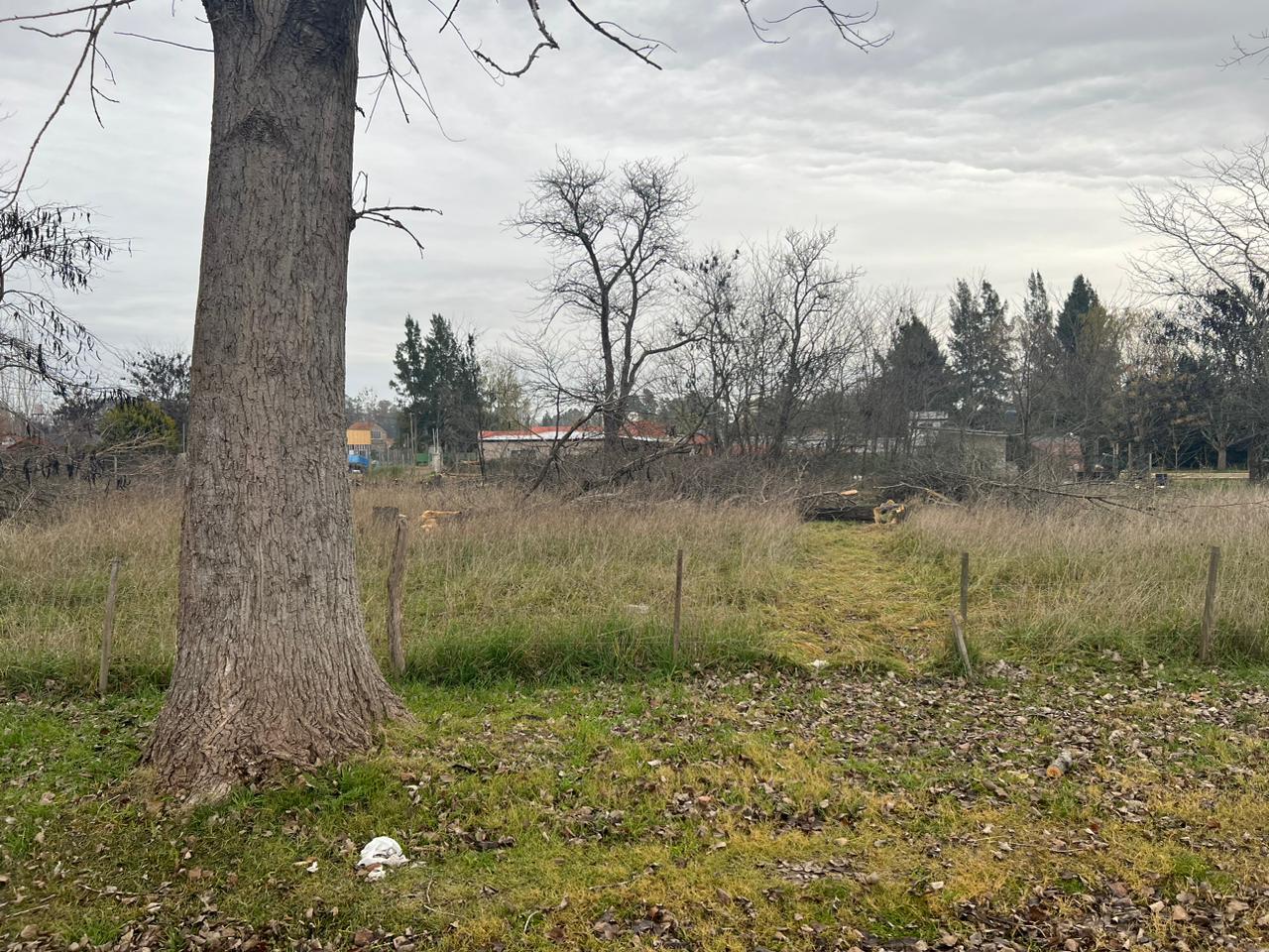 "¡Descubre tu refugio en Loteo Brisas del Salado! Lotes de 10 x 20 a 10 x 50 en la encantadora zona del Balneario Viejo, perfectos para inversión turística o escapadas de fin de semana. ¡Consulta precios y asegura tu lugar en este paraíso hoy mismo!"