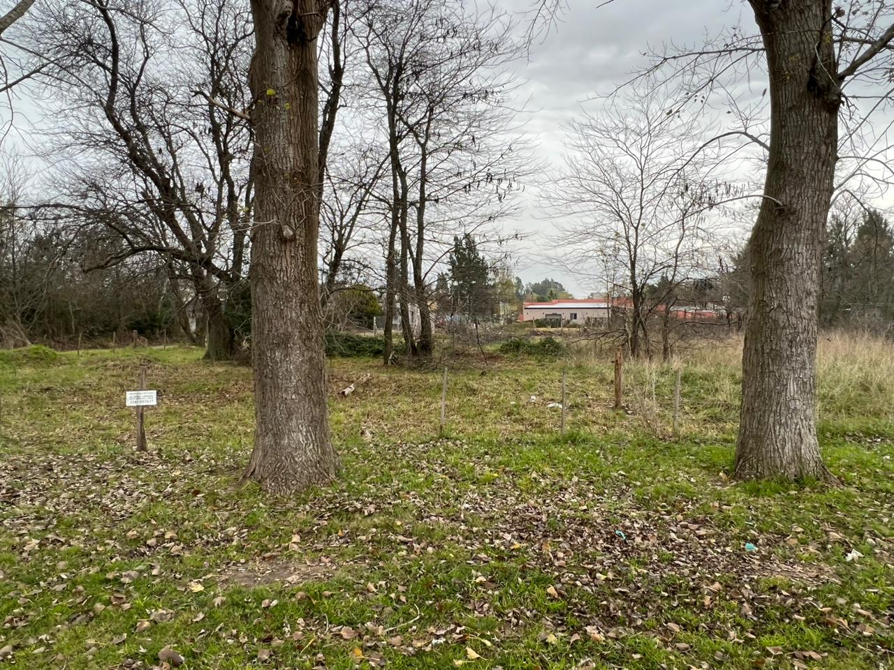 "¡Descubre tu refugio en Loteo Brisas del Salado! Lotes de 10 x 20 a 10 x 50 en la encantadora zona del Balneario Viejo, perfectos para inversión turística o escapadas de fin de semana. ¡Consulta precios y asegura tu lugar en este paraíso hoy mismo!"