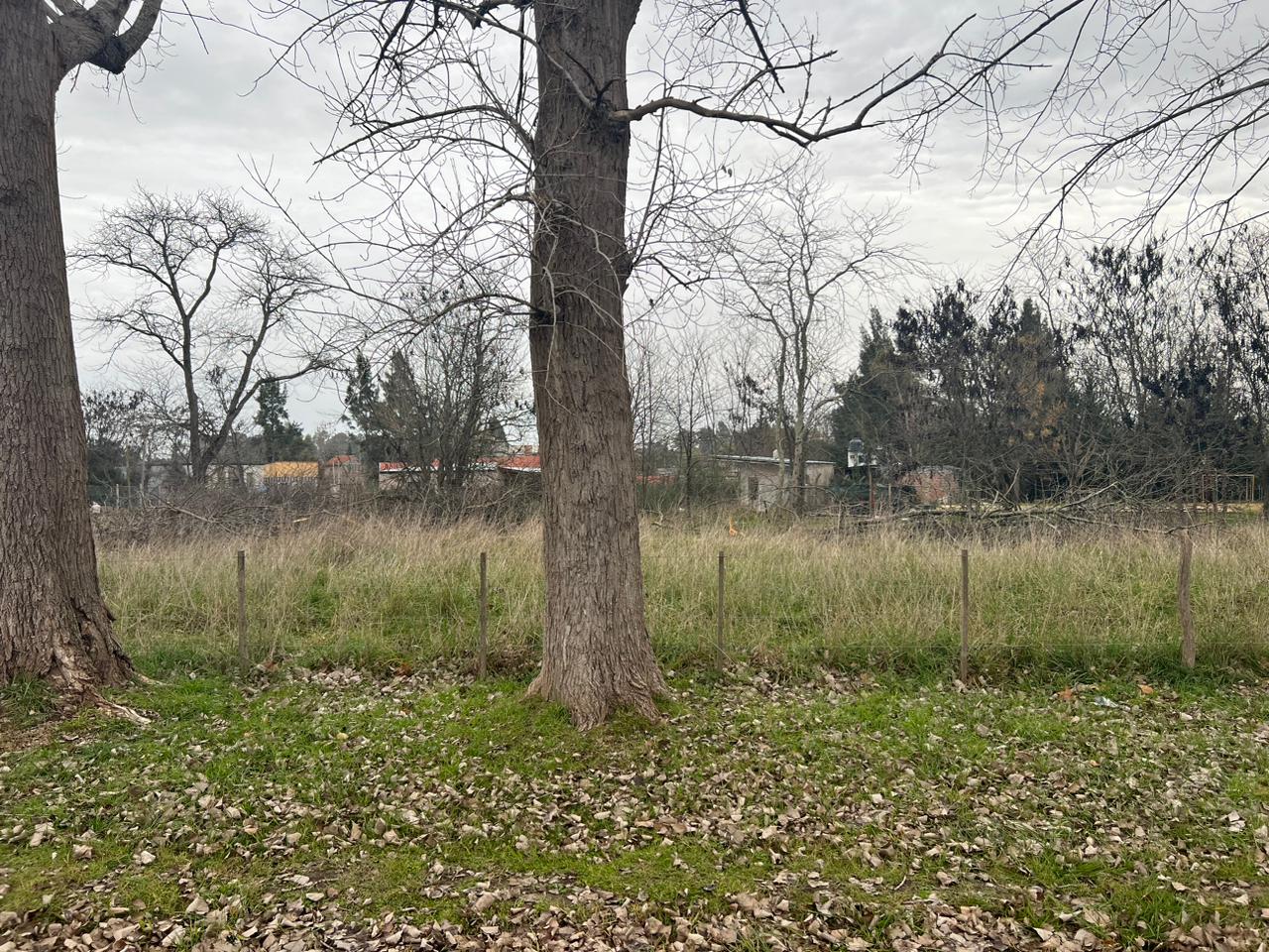 "¡Descubre tu refugio en Loteo Brisas del Salado! Lotes de 10 x 20 a 10 x 50 en la encantadora zona del Balneario Viejo, perfectos para inversión turística o escapadas de fin de semana. ¡Consulta precios y asegura tu lugar en este paraíso hoy mismo!"