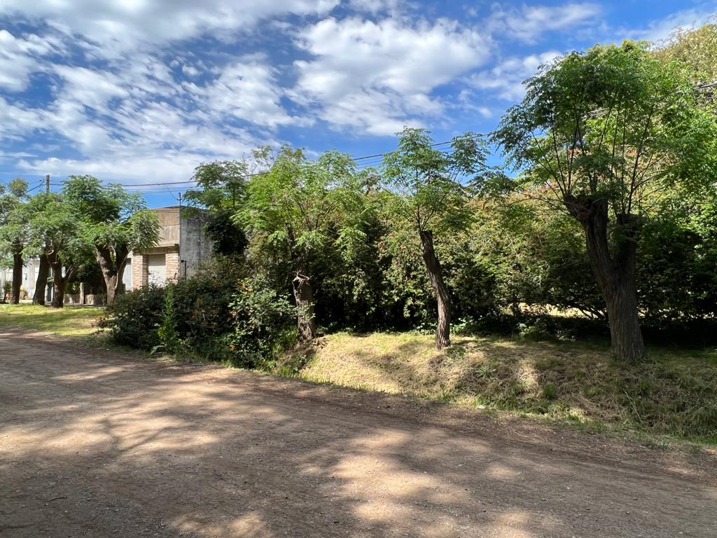 Increíble Oferta: Casa y Lote Adicional con Piscina a Solo 2 Cuadras de Av. Italia - Apta para Crédito Hipotecario