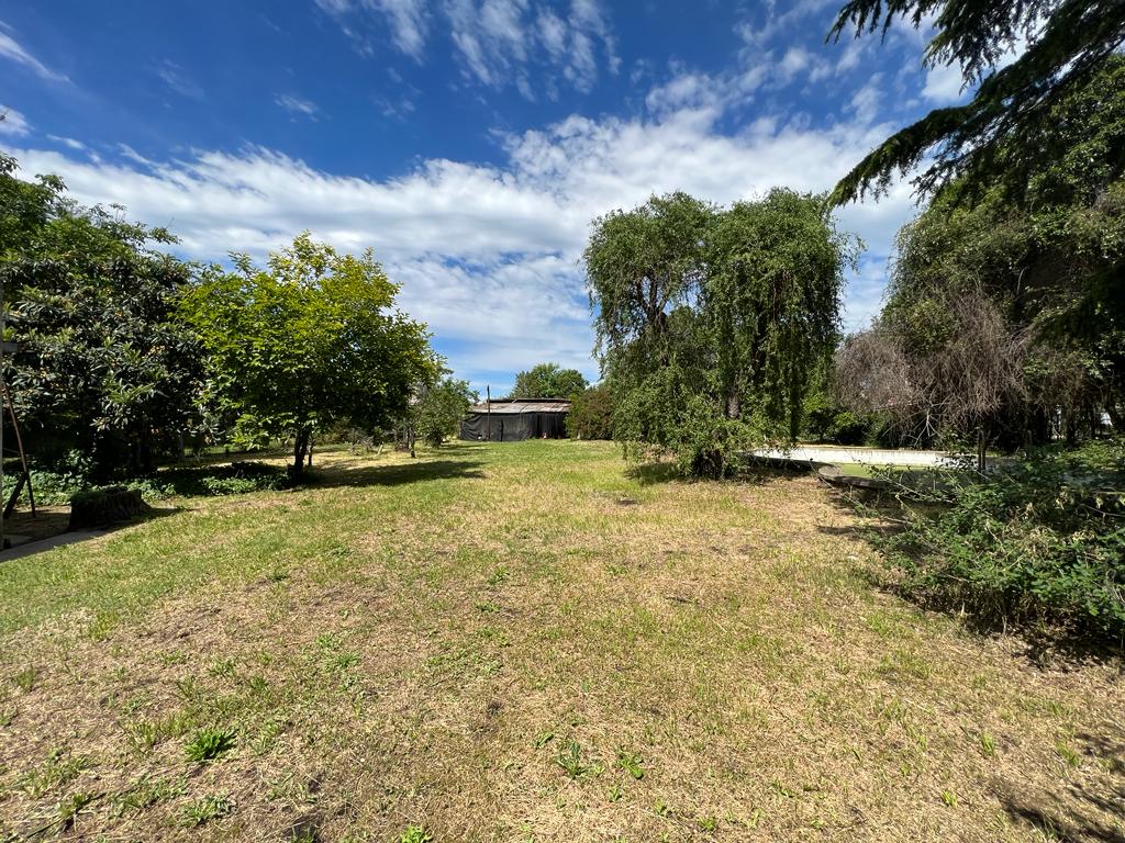 Increíble Oferta: Casa y Lote Adicional con Piscina a Solo 2 Cuadras de Av. Italia - Apta para Crédito Hipotecario