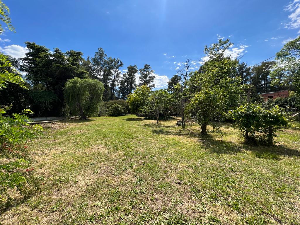 Increíble Oferta: Casa y Lote Adicional con Piscina a Solo 2 Cuadras de Av. Italia - Apta para Crédito Hipotecario