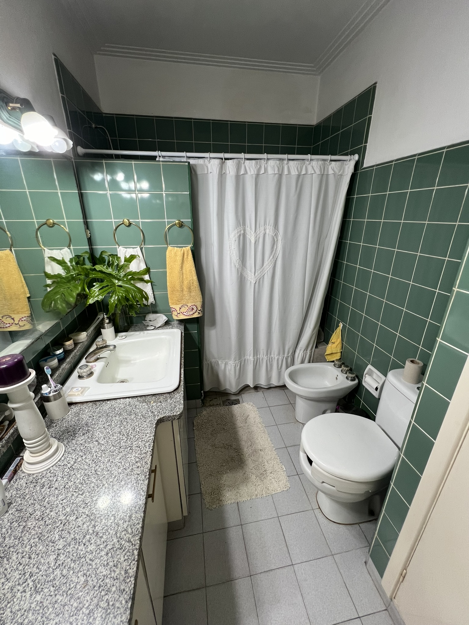 Tu Hogar en el Corazón de la Ciudad: Espaciosa Residencia Familiar con Encanto Urbano