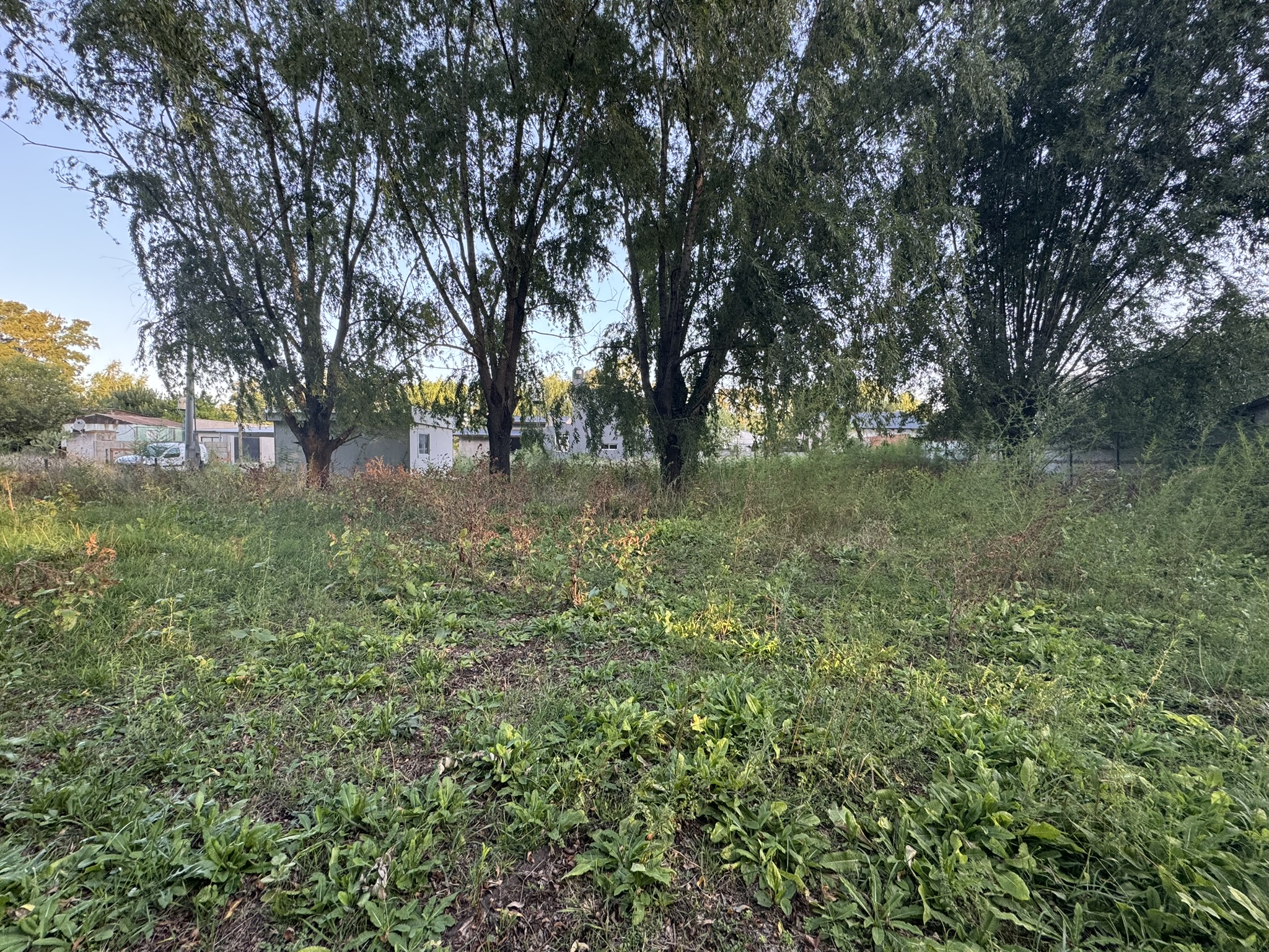 Lote en Venta Frente al Camping Municipal – Ideal para Descanso