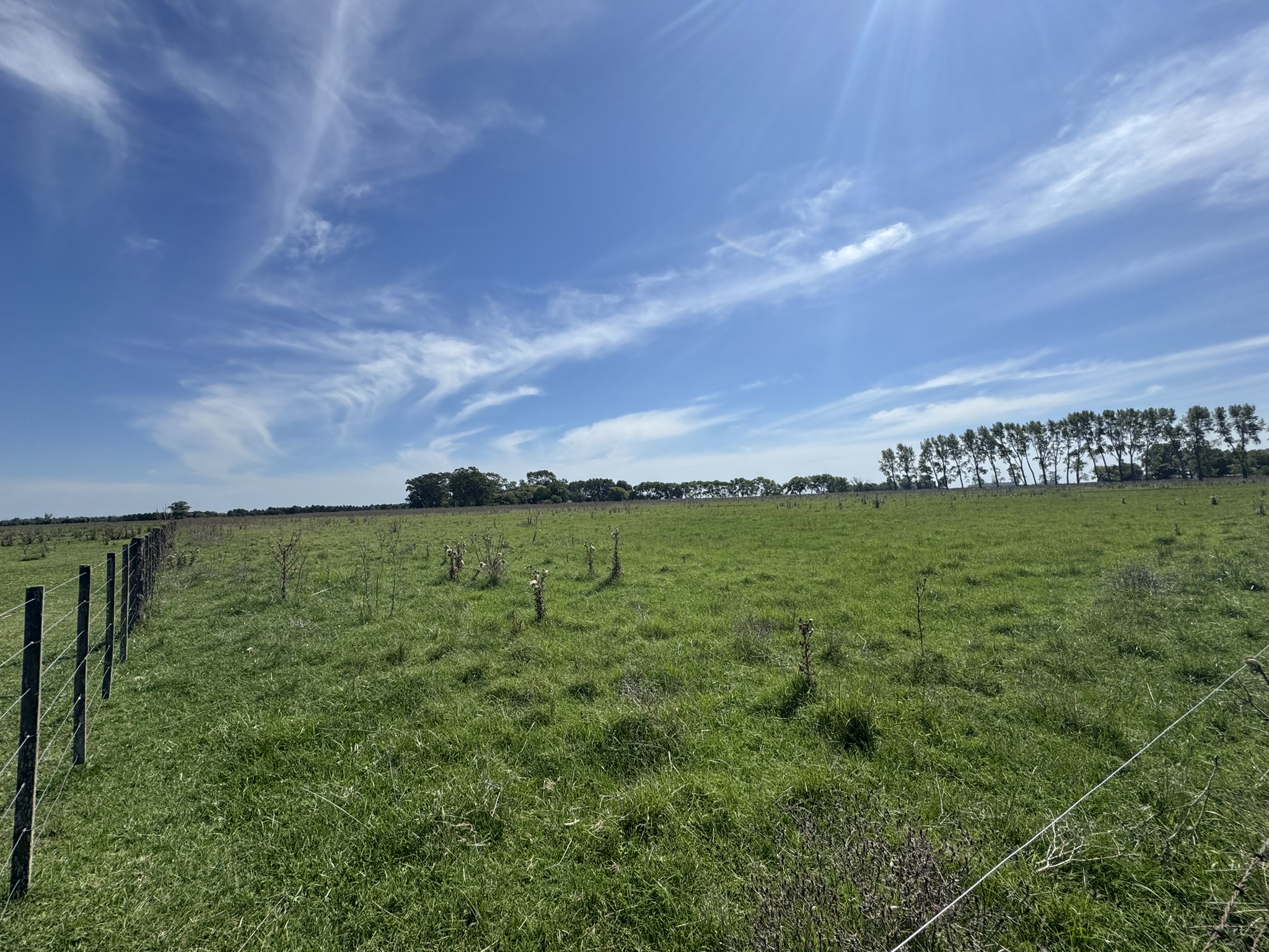 Campo De 30 Hectáreas Con mejoras edilicias Y Uso Mixto