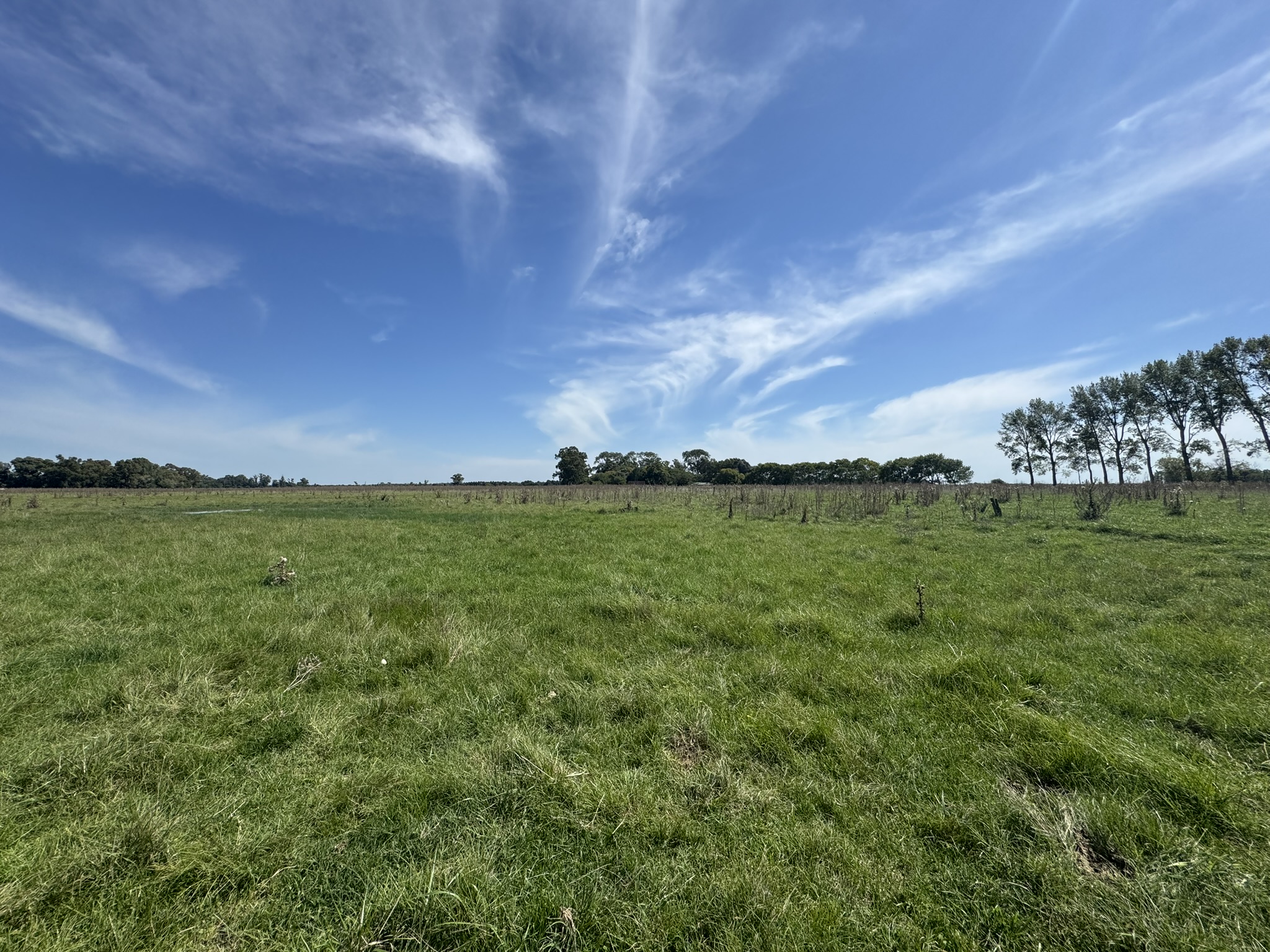 Campo De 30 Hectáreas Con mejoras edilicias Y Uso Mixto