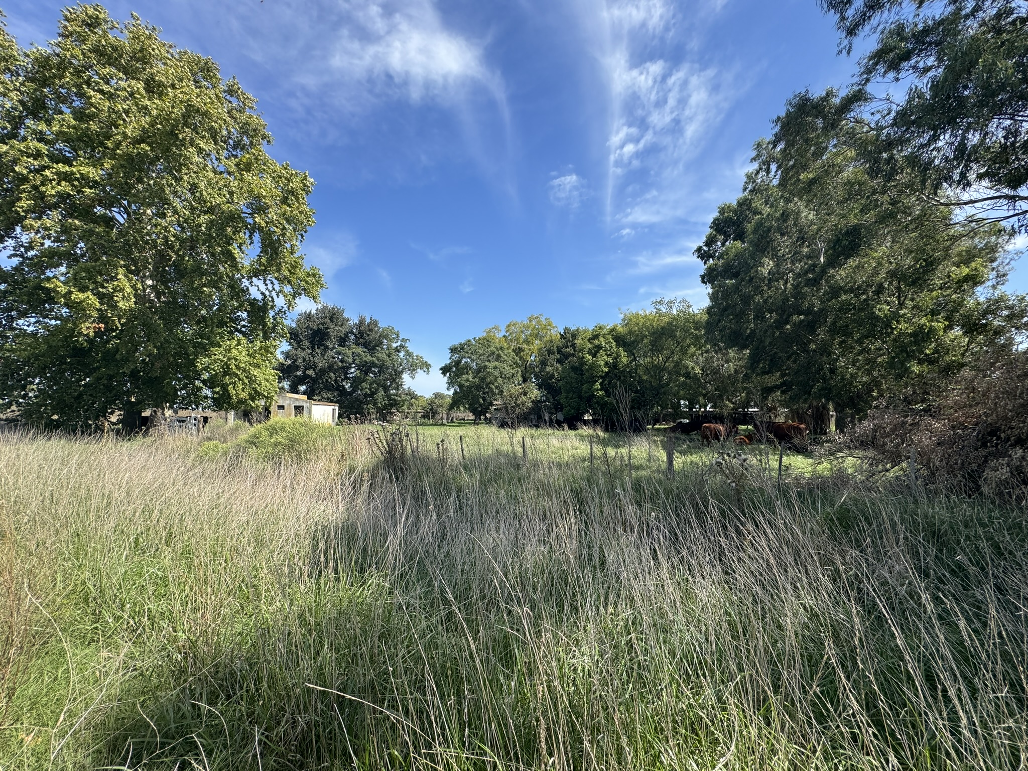 Campo De 30 Hectáreas Con mejoras edilicias Y Uso Mixto