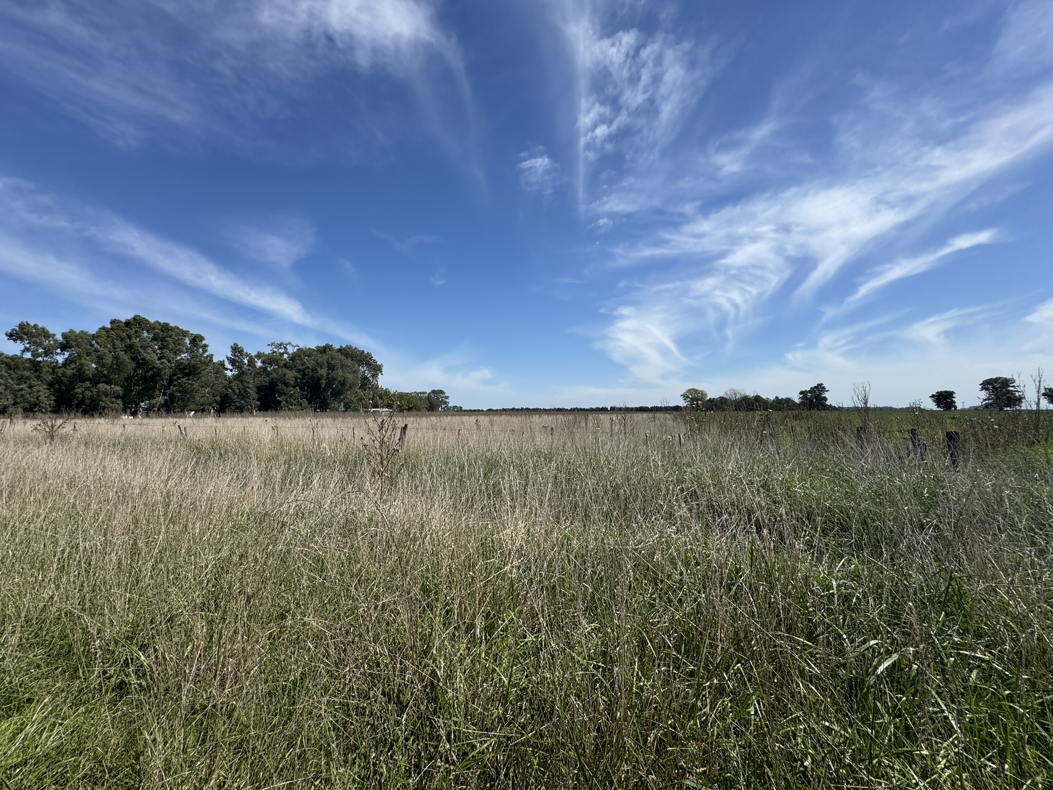 Campo De 30 Hectáreas Con mejoras edilicias Y Uso Mixto