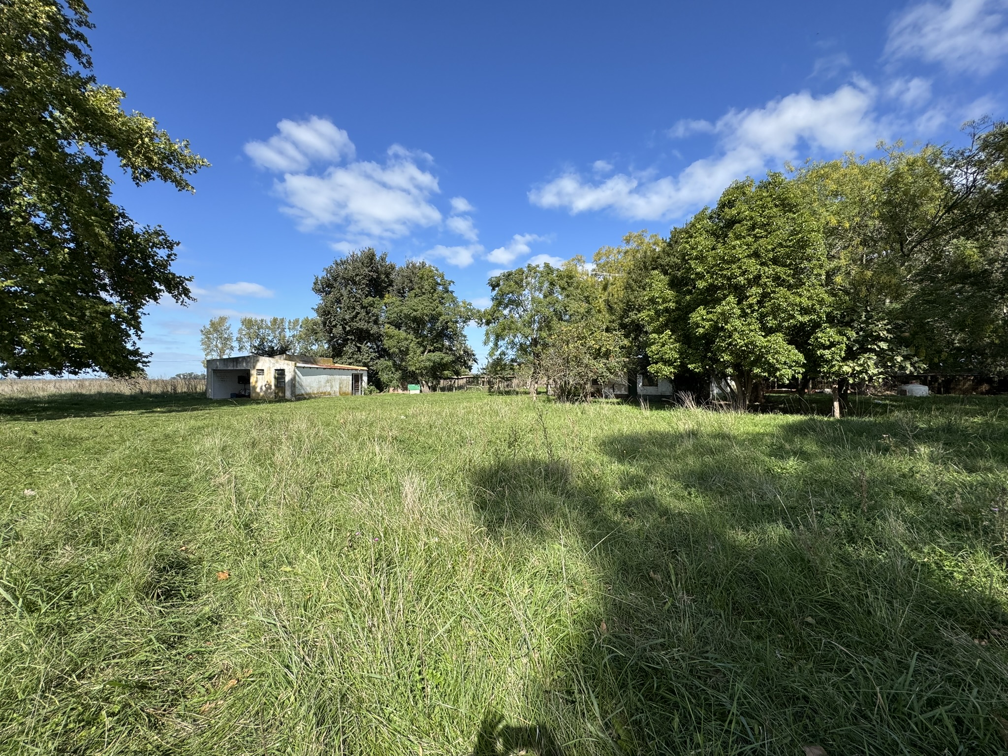 Campo De 30 Hectáreas Con mejoras edilicias Y Uso Mixto