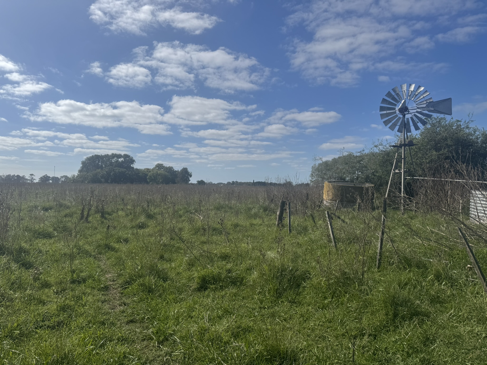Campo De 30 Hectáreas Con mejoras edilicias Y Uso Mixto