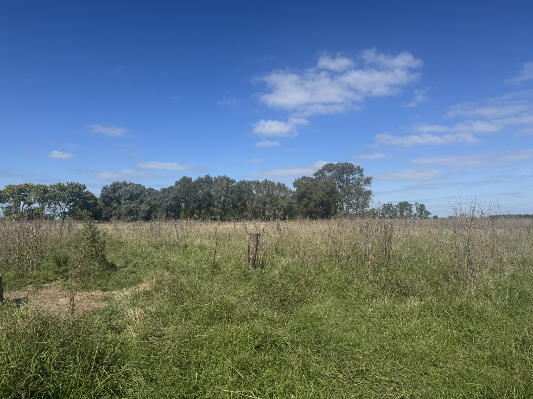Campo De 30 Hectáreas Con mejoras edilicias Y Uso Mixto