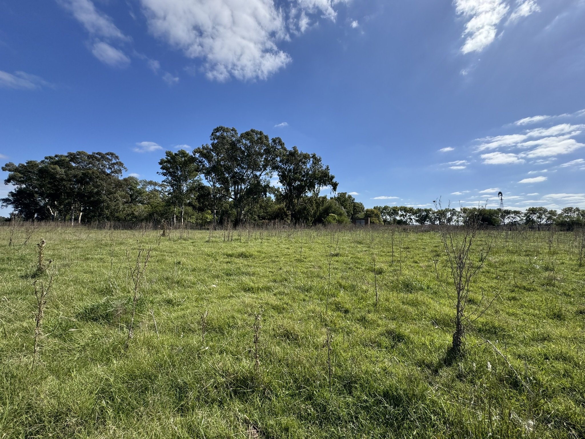 Campo De 30 Hectáreas Con mejoras edilicias Y Uso Mixto