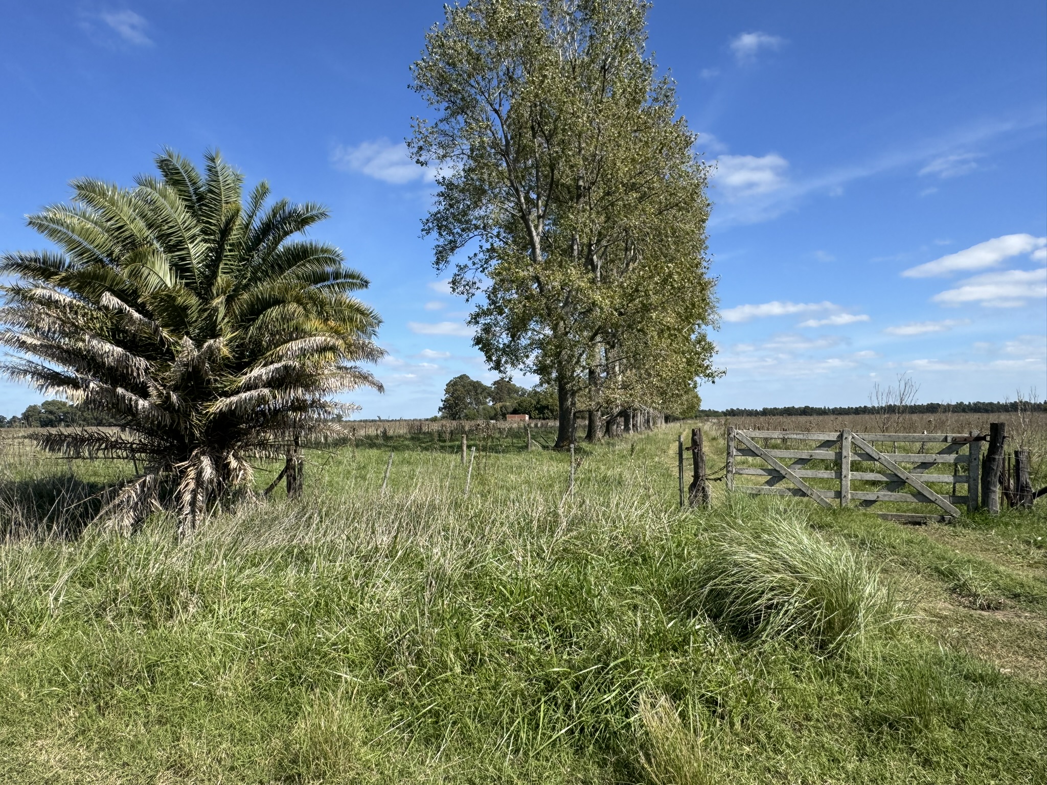 Campo De 30 Hectáreas Con mejoras edilicias Y Uso Mixto