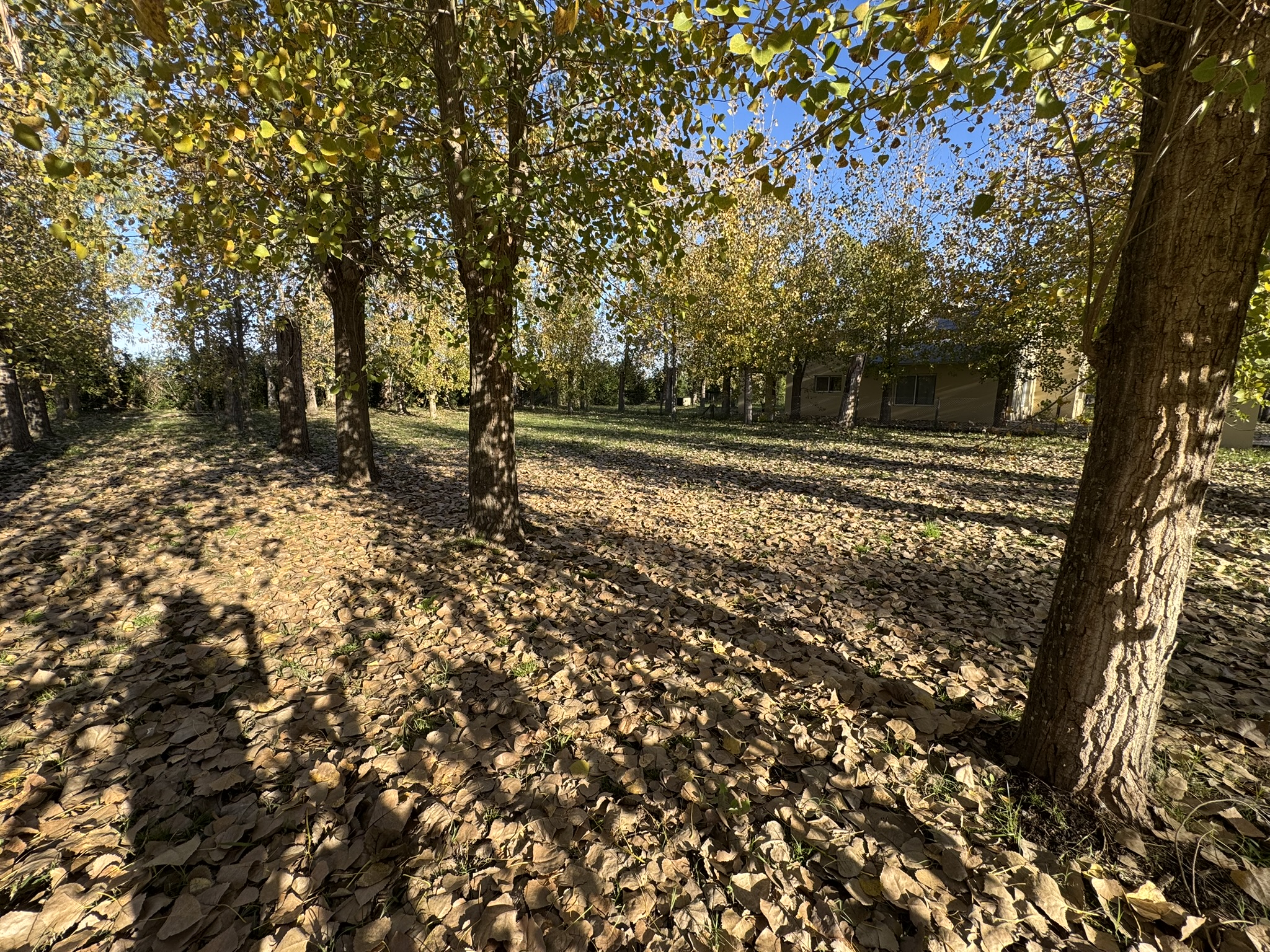 TERRENO EN VENTA EN BARRIO LEUFU KIÑE-